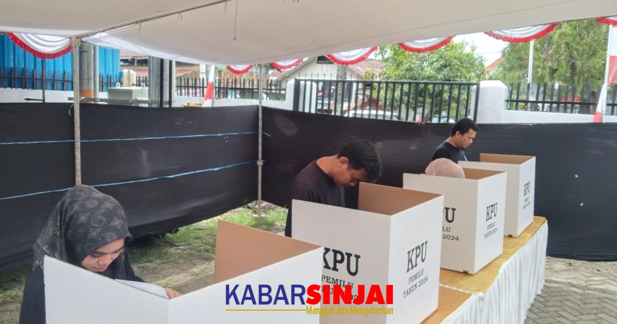 Partisipasi Pemilih Pemilu 2024 Capai 81 Persen, PSU Jauh Lebih Sedikit ...